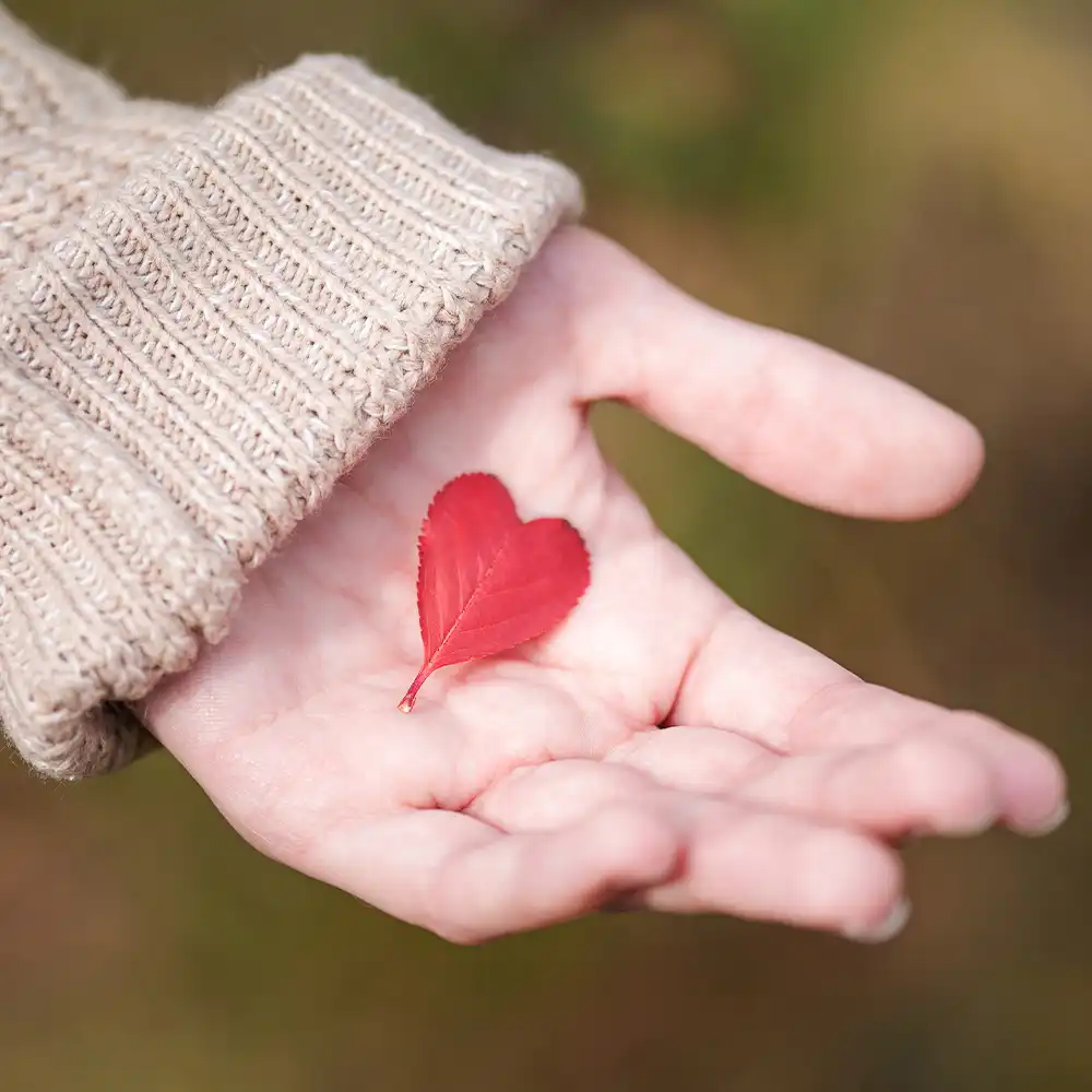 シンプルな処方へのこだわり