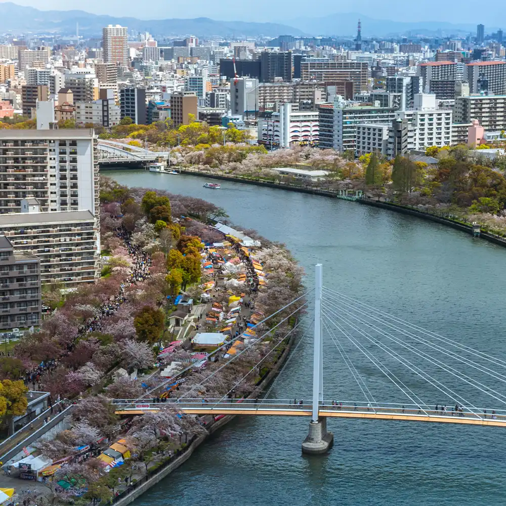 毎日の習慣として取り入れるアレギノンプラス