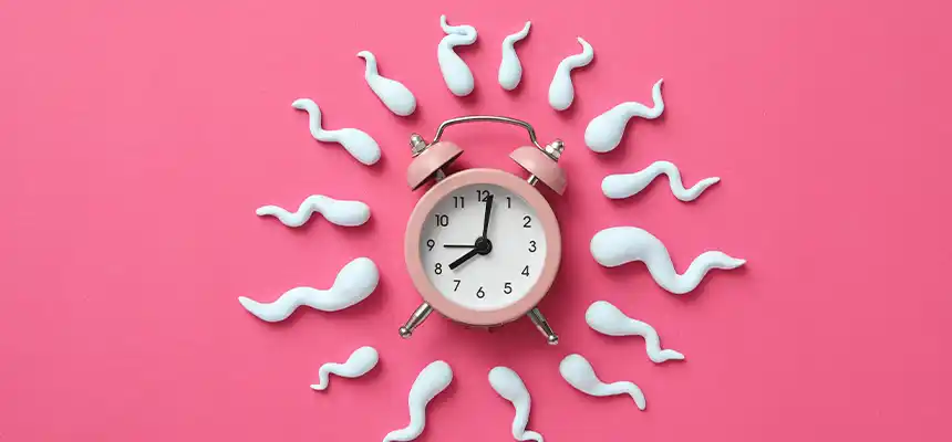 体内時計と腸内環境の関係