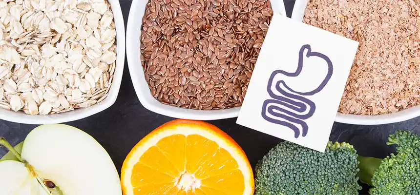 食物繊維の働き｜水溶性・不溶性の違いと毎日の摂り方